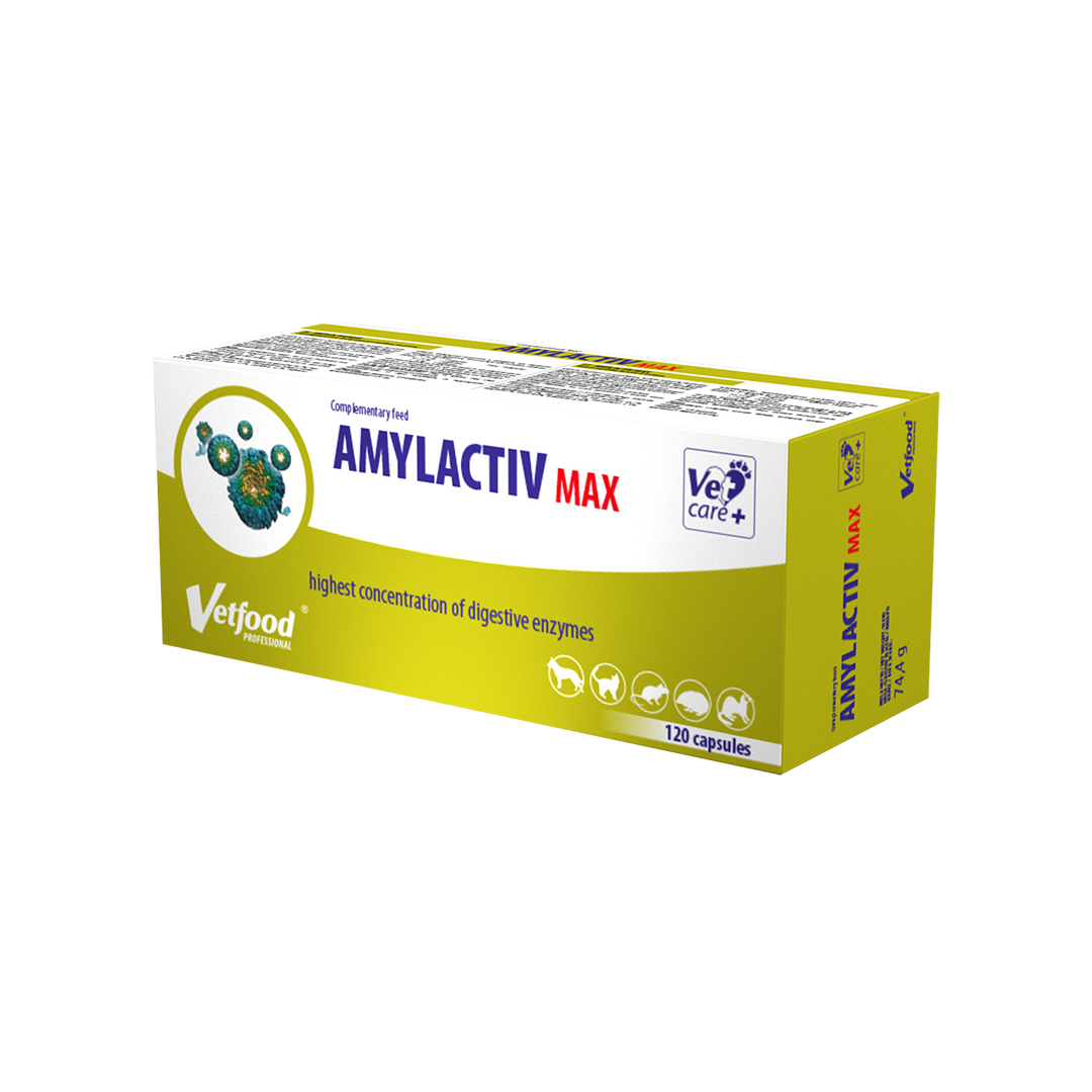 amylactiv-max-120-kapsulek.png