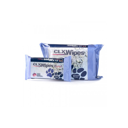 CLX Wipes Pocket Geulincx.png