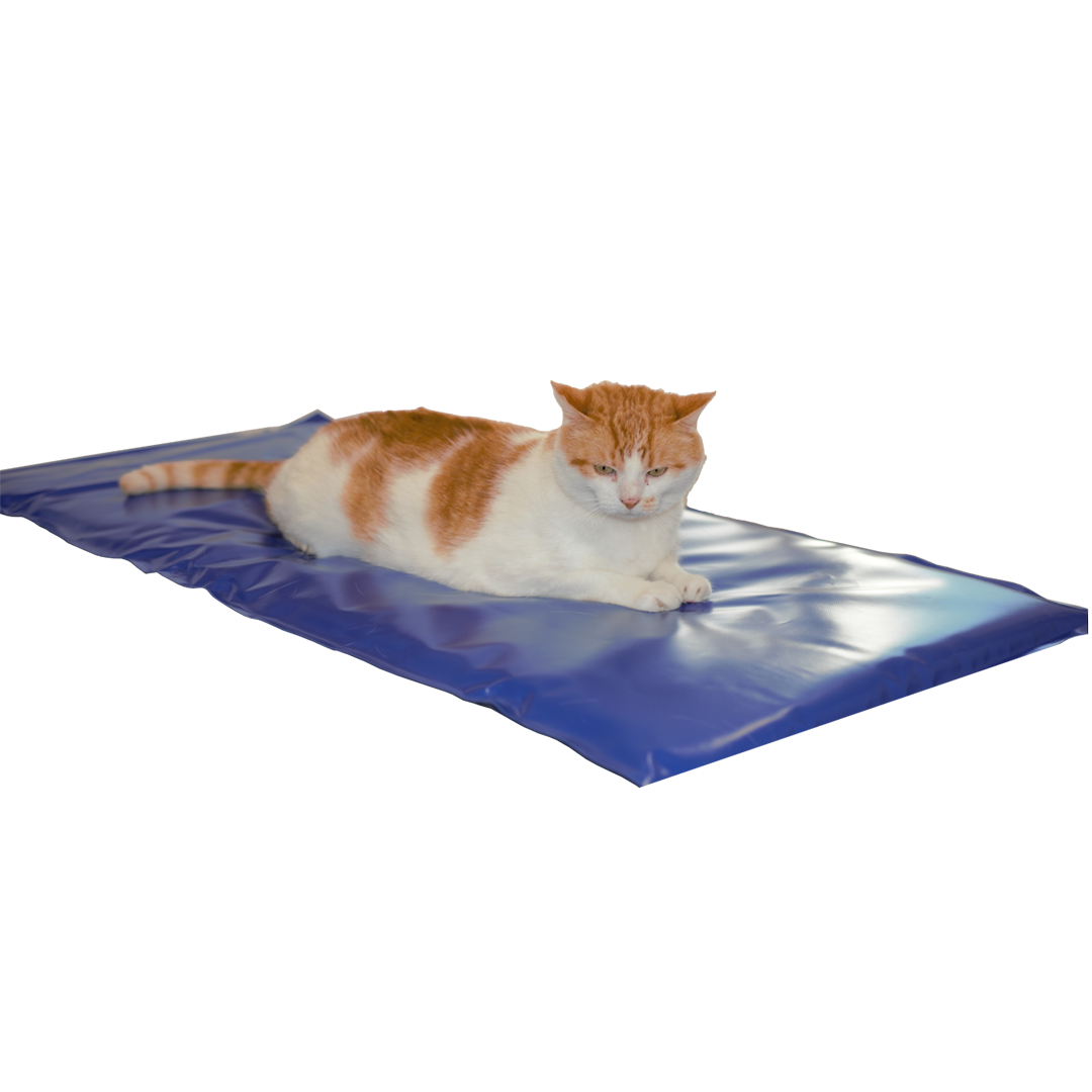 Mata grzewcza dla zwierząt Carbon Tech V1 mała.png