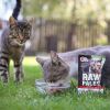 raw-paleo-sterilised-beef-mokra-karma-dla-kotow-sterylizowanych-wolowina-pakiet-12x100g (1).jpg