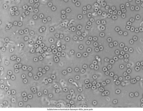 Mikroskop Delta Optical Genetic Pro Bino Delta-Optical-Genetic-Pro-Bino-6.jpg