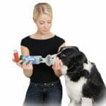 Inhalátor AeroDawg pre veľké psy kobieta-stosuje-aerodawg-na-swoim-psie-1-150x150.jpg