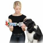 kobieta-stosuje-aerodawg-na-swoim-psie-1-150x150.jpg