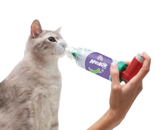 Inhalátor AeroCat pre mačky zastosowanie-aerokat-na-kocie.jpg