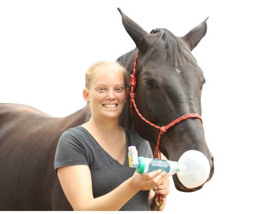 Inhalátor pre kone AeroHippus aerohippus-dla-koni.jpg