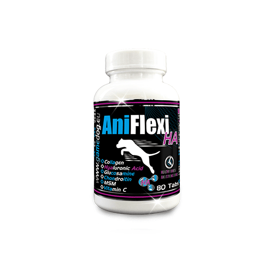 AniFlexi HA Game Dog.png