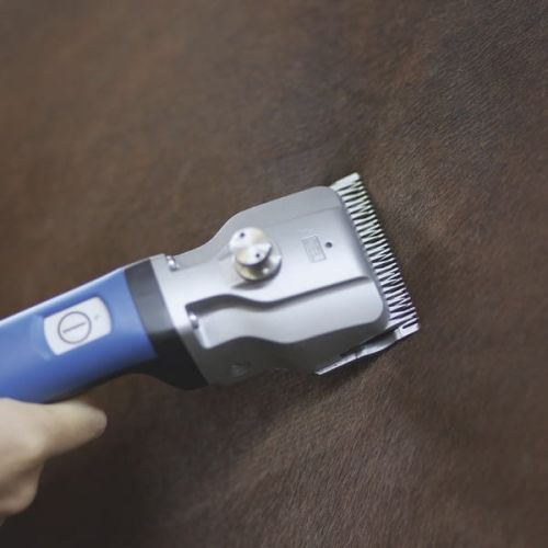 Nožnice AESCULAP Bonum bonum-3.jpg