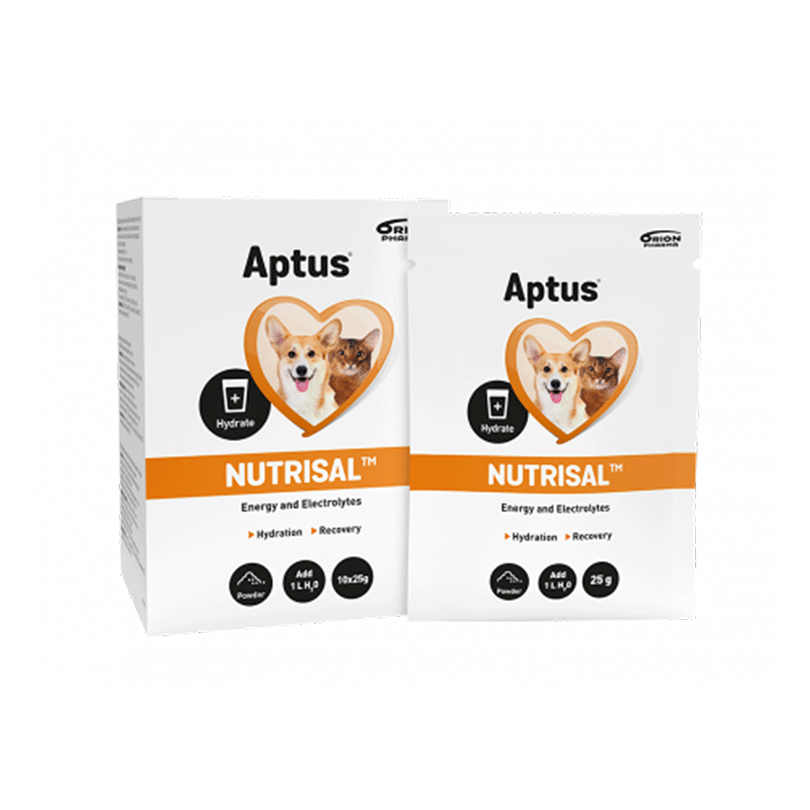 Aptus NUTRISAL prášok 10 x 25 g