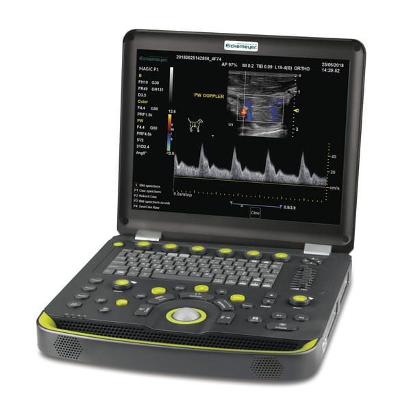 Przenośny aparat USG MAGIC P1 w formie laptopa – kompaktowy ultrasonograf dla weterynarii