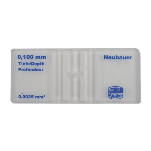 NEUBAUER.jpg