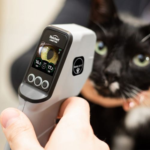Tono Vera VET Veterinárny tonometer Reichert Tono-Vera Vet 2.jpg