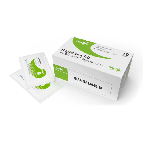 Test diagnostyczny giardia-lamblia.png