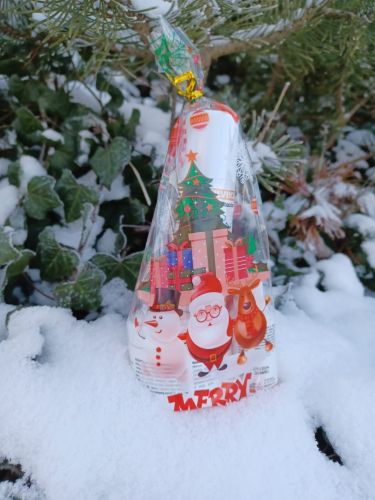 Súprava Silveco na vianočnú starostlivosť zdj. 2.jpg