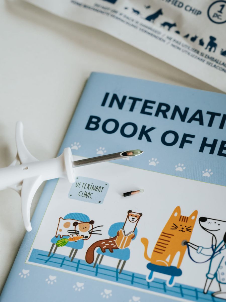 P1142249-Edit Full Sized.jpg