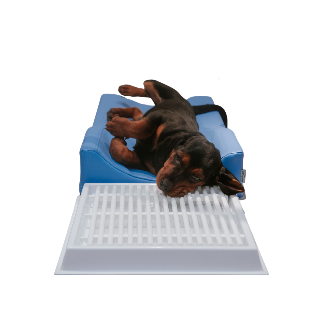 Zubné polohovadlo M