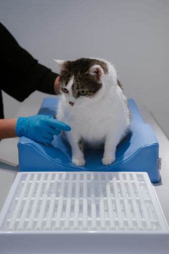 Zubné polohovadlo M _4PI4457-min.jpg