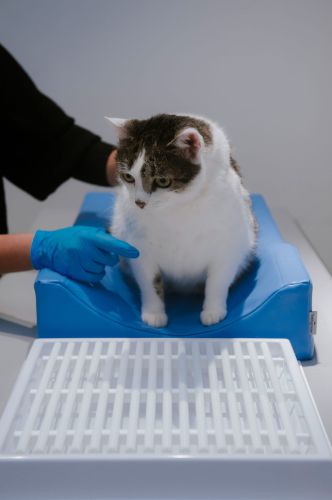 Zubná drenáž _4PI4457-16-min.jpg