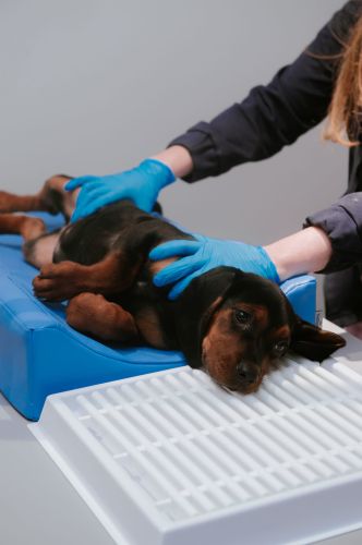 Zubná drenáž _4PI4553-4-min.jpg