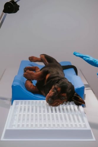 Zubná drenáž _4PI4564-19-min.jpg