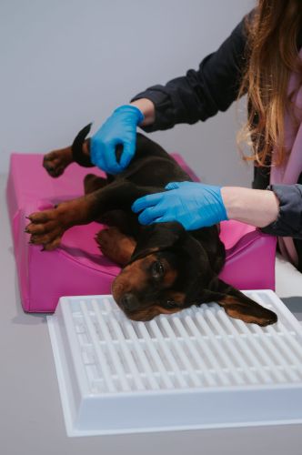 Zubná drenáž _4PI4582-6-min.jpg