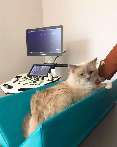 Diagnostický polohovač XS Diagnostic positioner 5-min.jpg