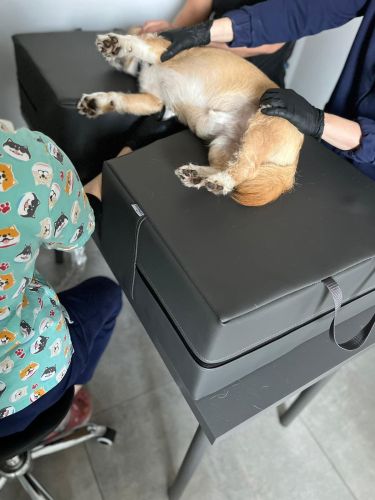 Echo testovací matrac tmavosivý Echo mattress VS9-min.jpg