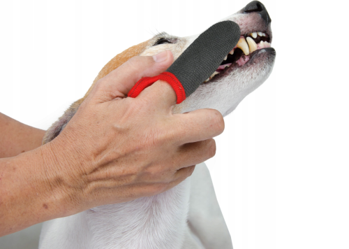 GF ČISTIČ ZUBOV SO ZINKOM Czyściki 2.png