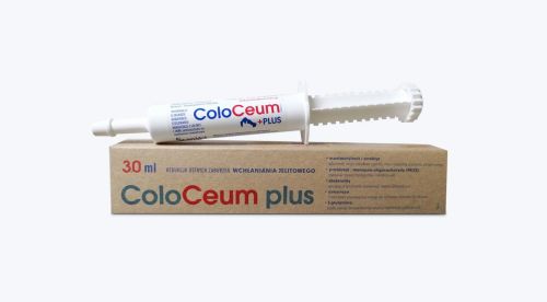 Pasta ColoCeum.jpg
