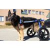 walkinpets-wozki-inwalidzkie-duzy-rozmiar-32-68-kg (2).jpg