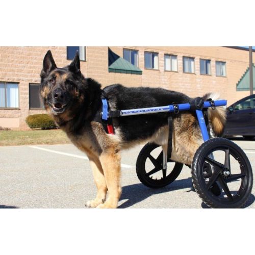 Invalidný vozík pre psov veľkých plemien Walkinpets walkinpets-wozki-inwalidzkie-duzy-rozmiar-32-68-kg (2).jpg