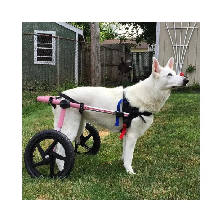 walkinpets-wozki-inwalidzkie-duzy-rozmiar-32-68-kg (3).jpg