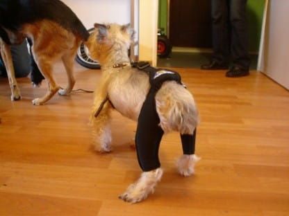 Rehabilitačné šortky s pripojovacím systémom DSC02020_bluolpta.jpg