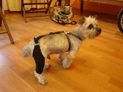 Rehabilitačné šortky s pripojovacím systémom DSC02000.jpg