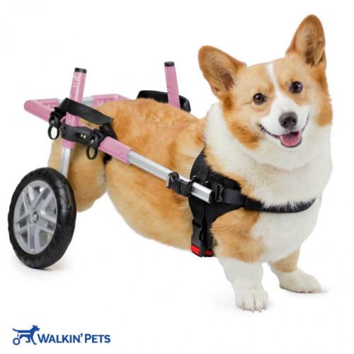 CORGIE Walkinpets invalidný vozík pre psov walkinpets-wozek-dla-psa-corgie-dla-psow (1).jpg