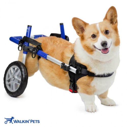 CORGIE Walkinpets invalidný vozík pre psov walkinpets-wozek-dla-psa-corgie-dla-psow.jpg