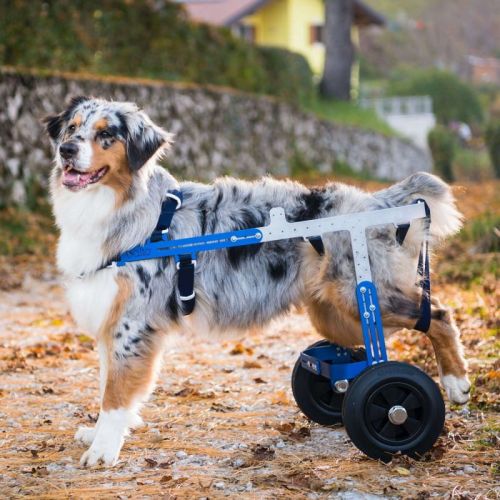 Balto OFF ROAD terénny vozík pre psov balto-off-road-wozek-terenowy-dla-psa-s-m-l.jpg