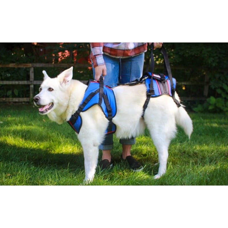 Zadný rehabilitačný postroj Walkinpets pre psov