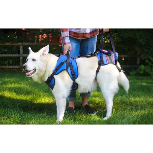 Zadný rehabilitačný postroj Walkinpets pre psov walkinpets-szelki-rehabilitacyjne-combo-dla-psow (1).jpg