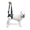 walkinpets-maszyna-do-podnoszenia-tylnych-stop (4).jpg