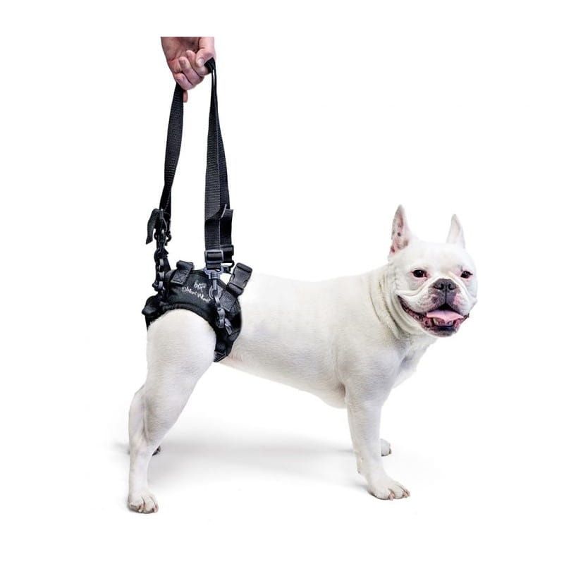 Zadný postroj pre psov Walkinpets