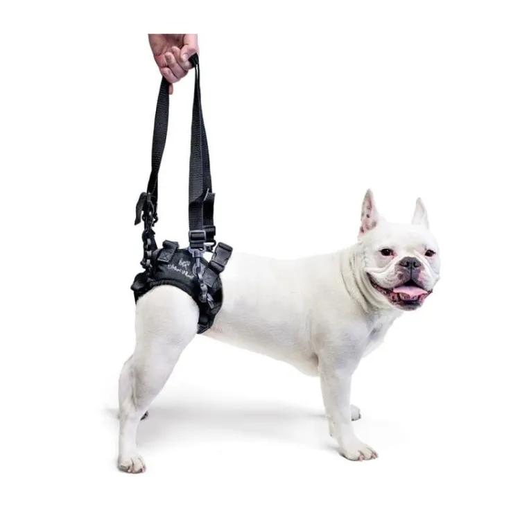 walkinpets-maszyna-do-podnoszenia-tylnych-stop (4).jpg