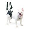 walkinpets-maszyna-do-podnoszenia-tylnych-stop (3).jpg