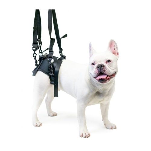 Zadný postroj pre psov Walkinpets walkinpets-maszyna-do-podnoszenia-tylnych-stop (3).jpg