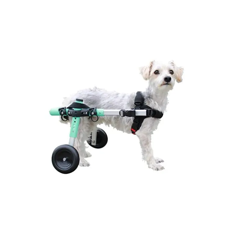 walkinpets-wozki-inwalidzkie-maly-rozmiar-5-11-kg (6).jpg