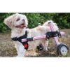 walkinpets-wozki-inwalidzkie-maly-rozmiar-5-11-kg (4).jpg