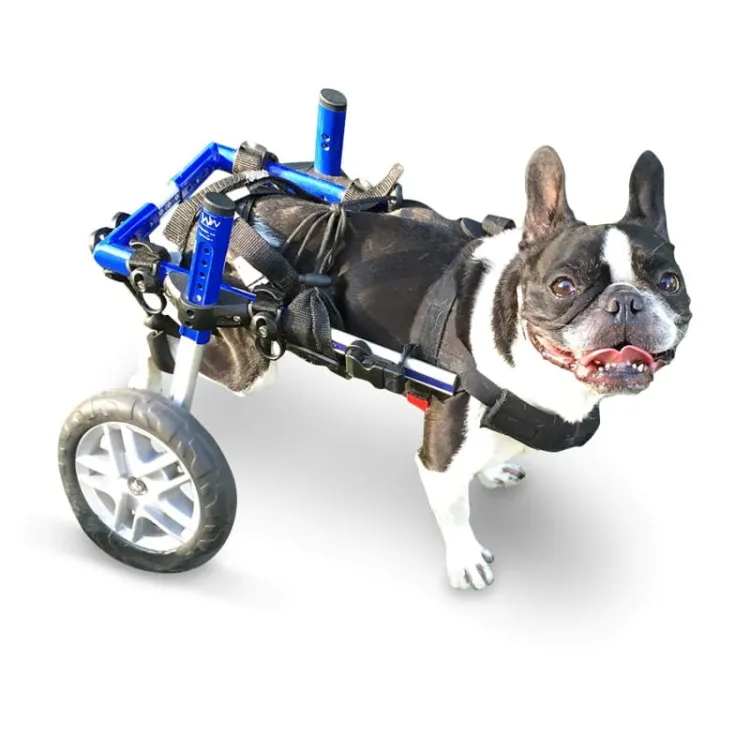 walkinpets-wozki-inwalidzkie-maly-rozmiar-5-11-kg.jpg