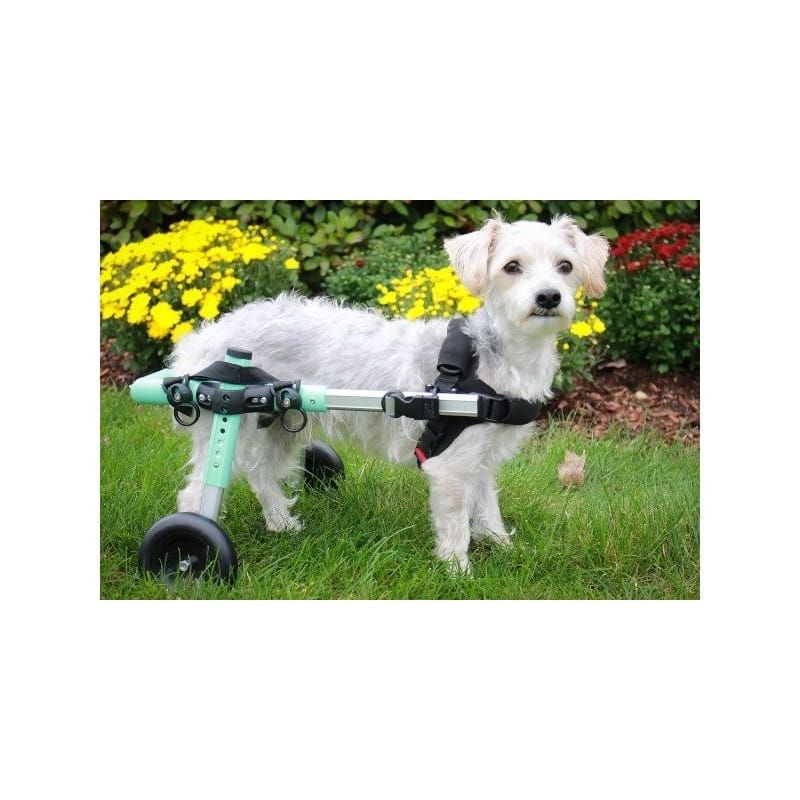 Vozík pre psy 5 - 8 kg Walkinpets