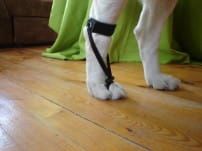 Zadný dorsi-flex pull-up popruh DSC02424.jpg