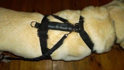 Sada 2 ks expandérov ekspander-dla-psa-5.jpg