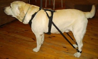 Sada 2 ks expandérov ekspander-dla-psa-4.jpg